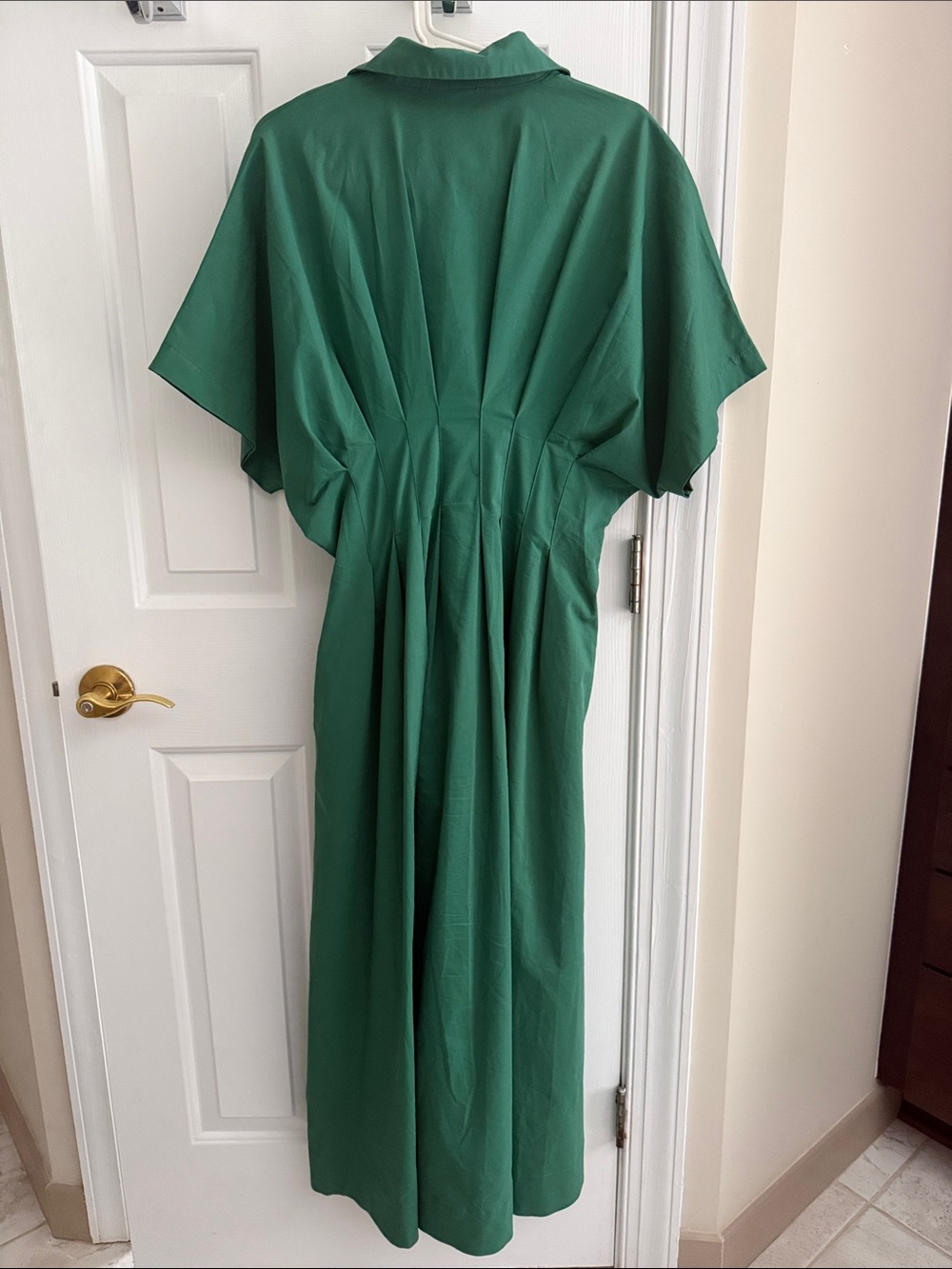 Green Button-Front Midi Dress with Pleated Waist - Picture 4 of 4
